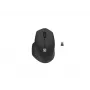 Natec belaidė pelė Siskin 2 BT 5.0 + 2,4 GHz