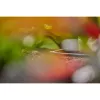 Jungties jungtis Gardena L formos jungtis Lašelinio drėkinimo sistema Plastikas