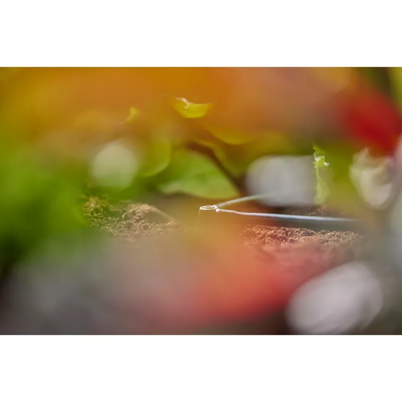 Jungties jungtis Gardena L formos jungtis Lašelinio drėkinimo sistema Plastikas