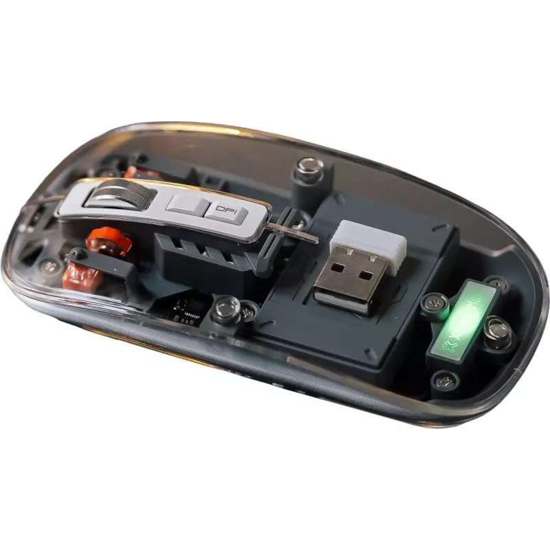 XtremeMac XWH-ALM2-13 pelė universali Bluetooth lazerinė 2400 DPI (XWH-ALM2-13)