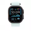 Apple 49 mm ledo mėlynumo vandenyno dirželis – juodos titano apdailos