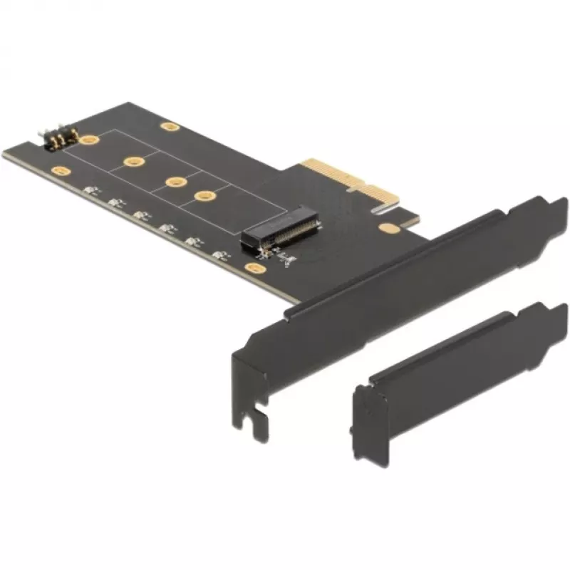 Sąsajos plokštė DeLOCK 89013 vidinė M.2 PCIe Low-profile