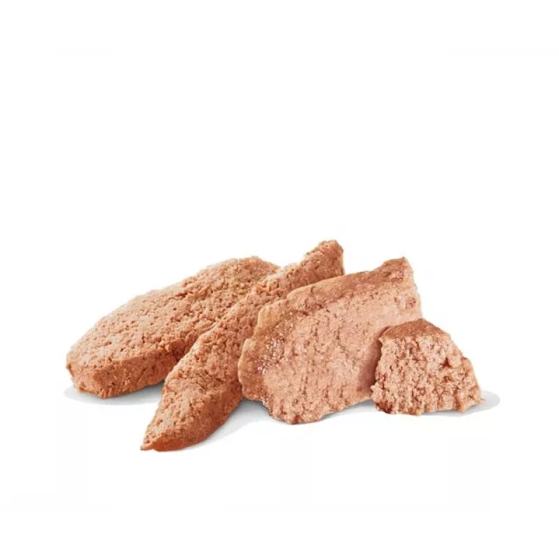 Šlapias šunų maistas Royal Canin Gastrointestinal High Fibre Loaf 200 g — suaugusiems šunims, mėsos skonio, virškinimo palaikymui