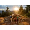 Ruffwear Front Range XS Mėlynas poliesteris