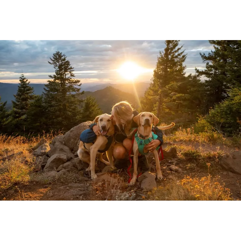 Ruffwear Front Range XS Mėlynas poliesteris