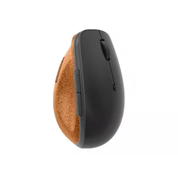 Lenovo Go pelė Office Dešiniarankiams RF belaidė optinė 2400 DPI