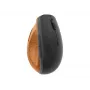 Lenovo Go pelė Office Dešiniarankiams RF belaidė optinė 2400 DPI