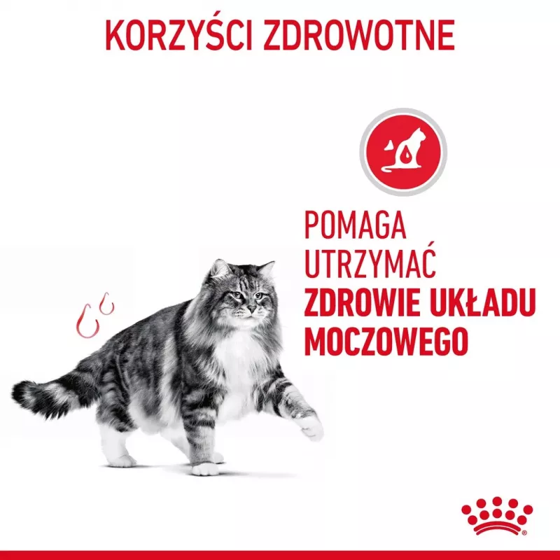 Sausas kačių maistas Royal Canin Urinary Care Adult Poultry 10 kg — sausas maistas suaugusioms katėms, šlapimo takų kontrolė, 33 % baltymų