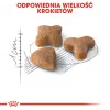 Sausas kačių maistas Royal Canin Sensible 33 4 kg — Suaugusios katės, paukštiena ir ryžiai, baltymai 33%, riebalai 22%