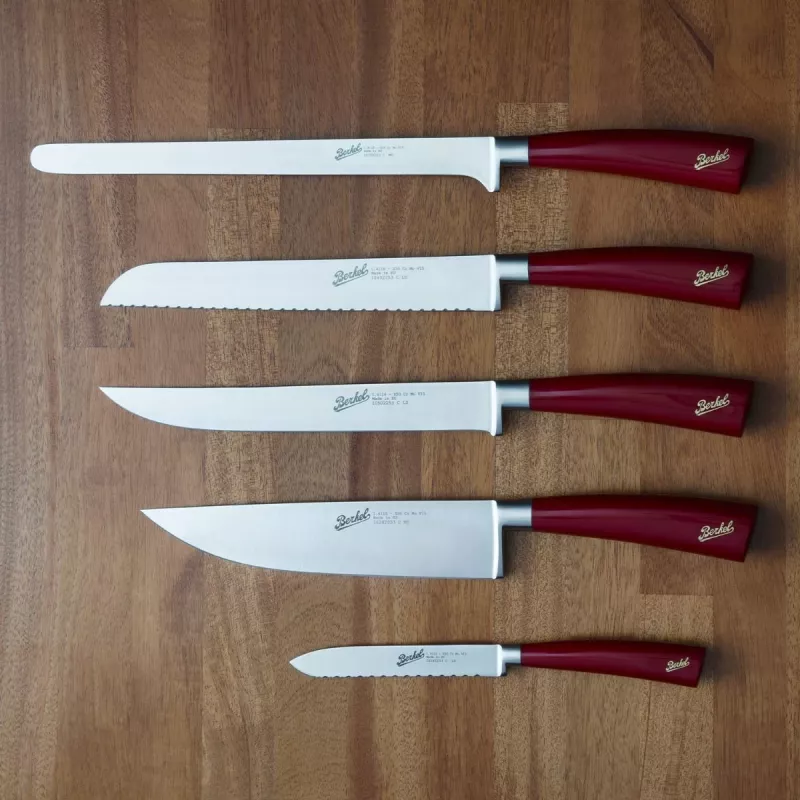 Virtuvinis peilių rinkinys Berkel ELEGANCE nerūdijantis plienas 5 vnt.