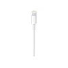 Apple USB-C į Lightning kabelis (1 m)