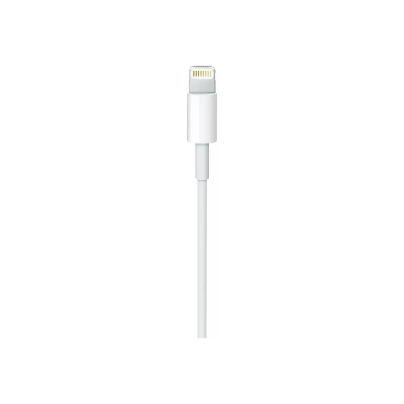 Apple USB-C į Lightning kabelis (1 m)