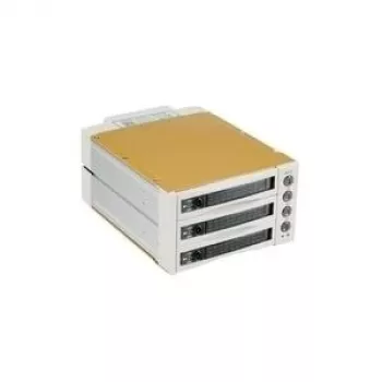 Fantec SNT-BA2131-2 - S-ATA 2x 13,30cm (5,25) 3x1 HDD smėlio spalvos (2007)