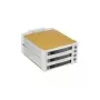 Fantec SNT-BA2131-2 - S-ATA 2x 13,30cm (5,25) 3x1 HDD smėlio spalvos (2007)