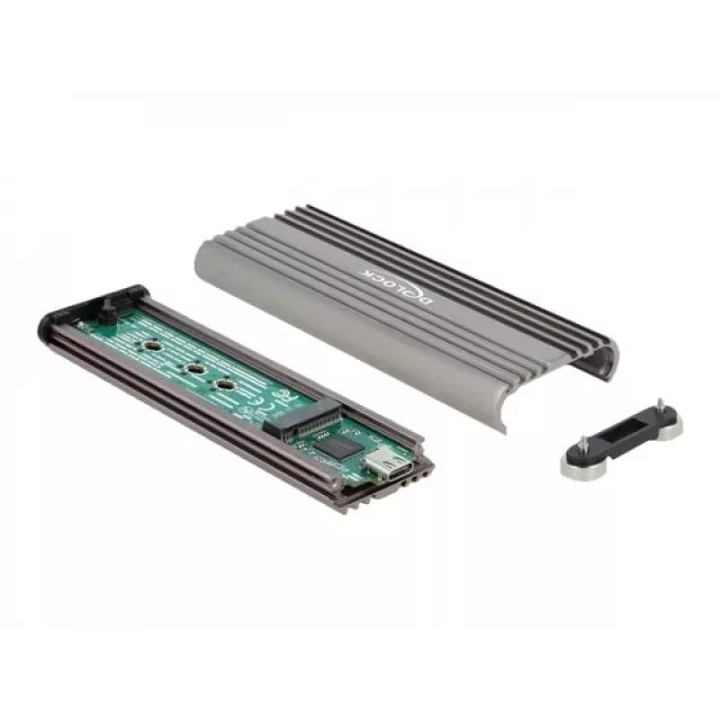 SSD korpusas DeLOCK 42001 Sidabrinis M.2