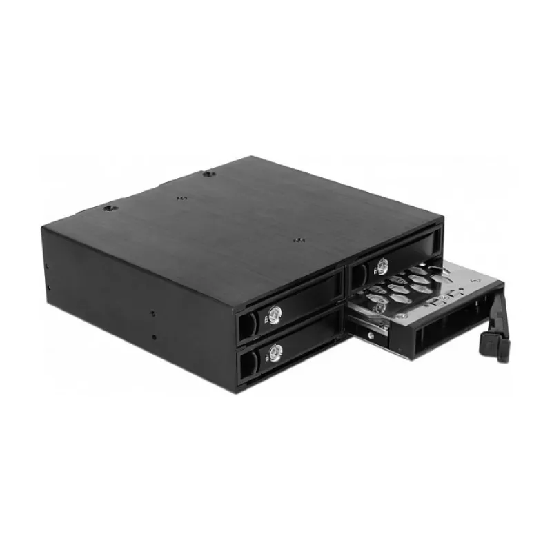 Drive bay panel DeLOCK 47233 Juoda