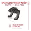 Šlapias kačių ėdalas Royal Canin FHN Ageing 11+ Gravy 12×85 g – pilnavertis drėgnas maistas vyresnio amžiaus katėms padėklėliuose