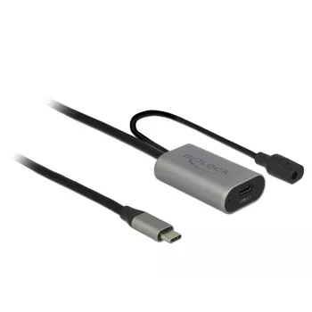 Delock USB-20225 maitinimo adapteris pilkas