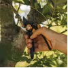 Fiskars Plus SmartFit P541 sodo aplinkkelio žirklės juodos, oranžinės