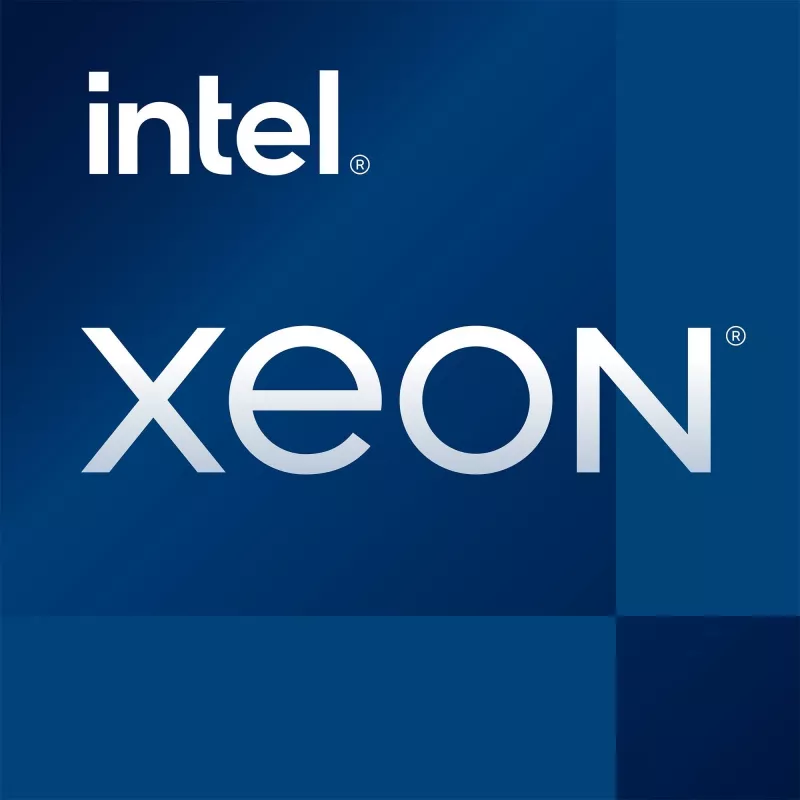 Serverio / darbo stoties procesorius INTEL Xeon E-2378 LGA 1200, 8 branduoliai / 16 gijų, 2,6–4,8 GHz, 16 MB Smart Cache, DDR4, 65 W
