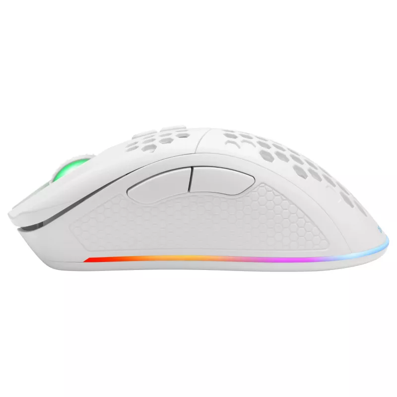 Žaidimų pelė Deltaco GAM-120-W RF belaidė USB Type-C