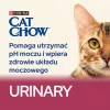 Purina Cat Chow Urinary Tract Health katėms sausas ėdalas 1,5 kg Suaugusioms Vištiena