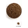 ACANA Wild Prairie Cat - sausas kačių maistas - 1,8 kg