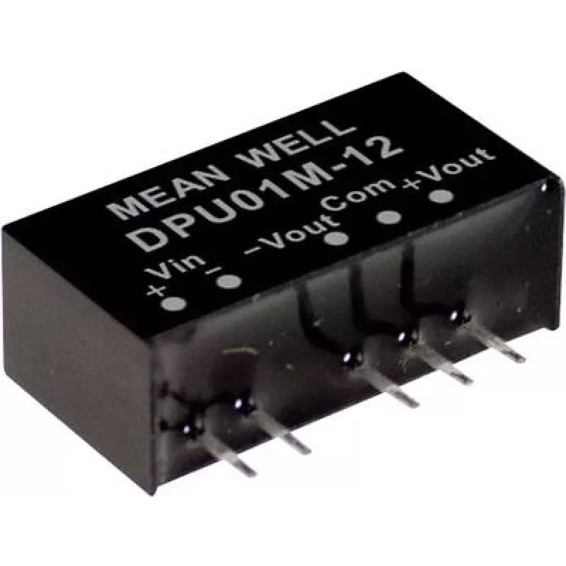 MEAN WELL DPU01L-05 maitinimo šaltinis ir įtampos keitiklis (DPU01L-05)