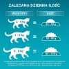 PURINA One Bifensis Senior 7+ - sausas kačių ėdalas - 800 g