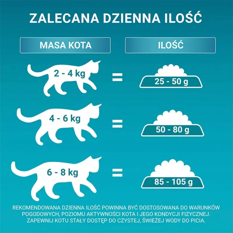 PURINA One Bifensis Senior 7+ - sausas kačių ėdalas - 800 g