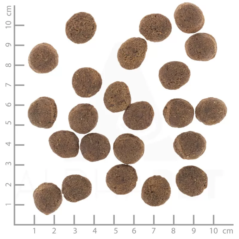Sausas šunų maistas Wolfsblut VetLine Gastrointestinal Duck 2 kg — veterinarinė dieta virškinimui palaikyti, 20% baltymų, 10% riebalų