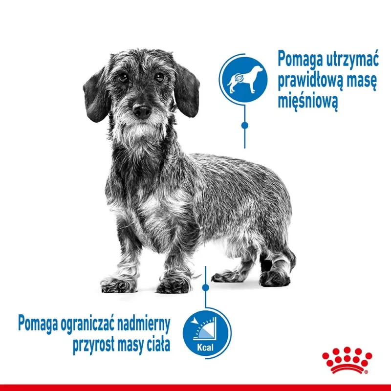 Royal Canin CCN MINI LIGHT WEIGHT CARE - sausas ėdalas suaugusiems šunims - 3 kg