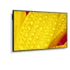 NEC MultiSync M651-2 Kiosk dizainas 165,1 cm (65 colių) LED 500 cd/m² 4K Ultra HD juoda Integruotas procesorius
