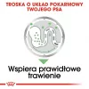 Šlapias šunų maistas Royal Canin Digestive Care mėsos ir daržovių paštetai 12 x 85 g — suaugę šunys, virškinimo palaikymas
