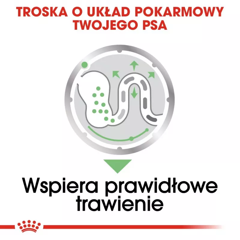 Šlapias šunų maistas Royal Canin Digestive Care mėsos ir daržovių paštetai 12 x 85 g — suaugę šunys, virškinimo palaikymas