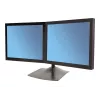 Ergotron DS100 - stovas - horizontalus - skirtas 2 LCD ekranams - aliuminis, plienas - juodas - ekrano dydis: iki 61 cm (iki 24 colių)
