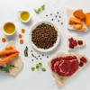 RAW PALEO Ultra Medium&Large Adult Beef - sausas šunų maistas - 10 kg
