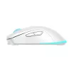 Pelė Baracuda BGM-122 Turtle balta TURTLE-W