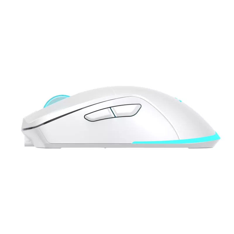 Pelė Baracuda BGM-122 Turtle balta TURTLE-W