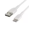 USB laidas Belkin CAB001BT2MWH 2 m USB A į USB C Baltas
