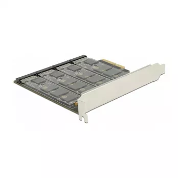 Sąsajos kortelė DeLOCK 89888