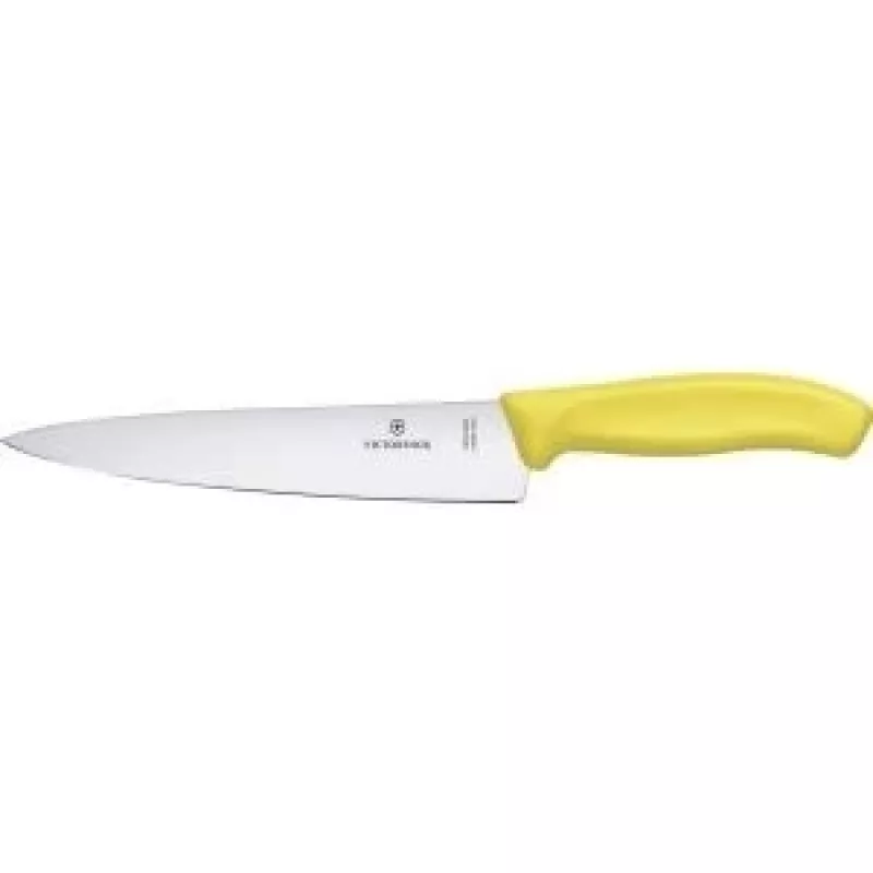 Buitinis peilis Victorinox SwissClassic 6.8006.19L8B