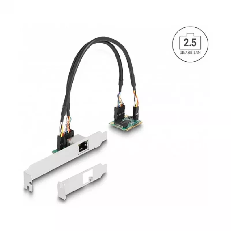DeLOCK 95271 Vidinė tinklo plokštė 2500 Mbit/s Mini PCI Express