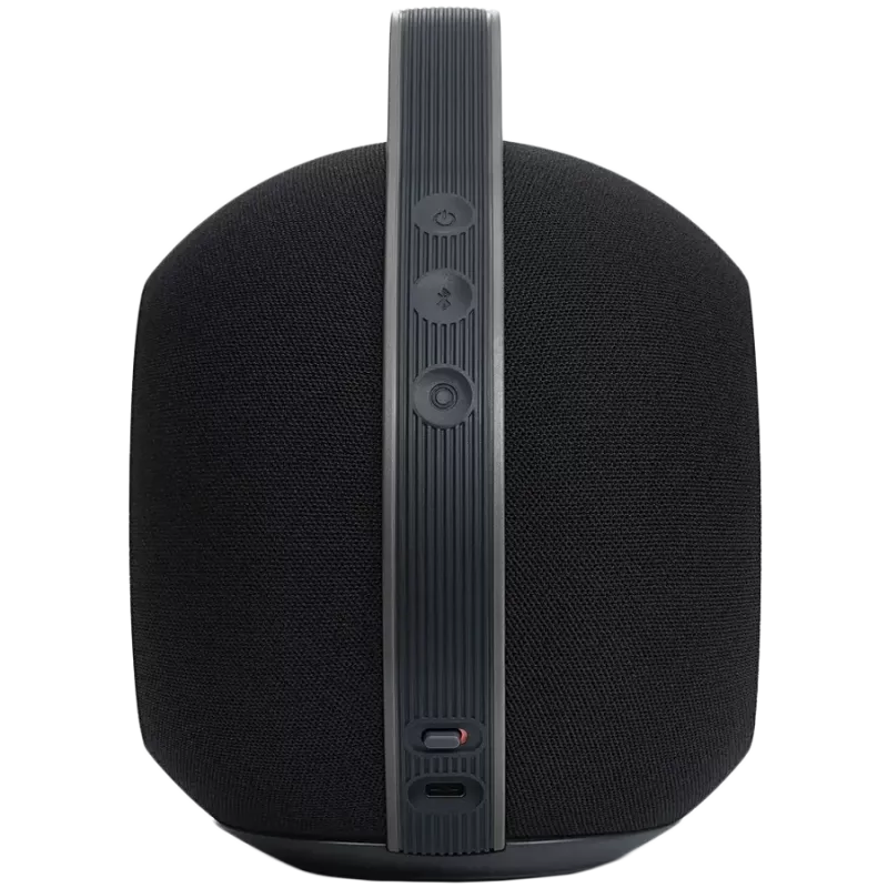 Nešiojamas stereofoninis garsiakalbis Devialet Mania 95 dB
