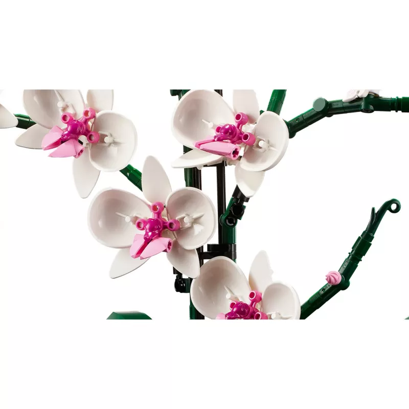 LEGO 10311 Icons Orchid dirbtinio augalo konstravimo rinkinys su gėlėmis, namų dekoro aksesuaras suaugusiems, botanikos kolekcija, dovana žmonai ar vyrui