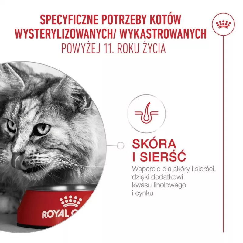 Sausas kačių ėdalas Royal Canin FHN Ageing 11+ 4 kg — visavertis ėdalas vyresnio amžiaus katėms, paukštiena, 30 % baltymų