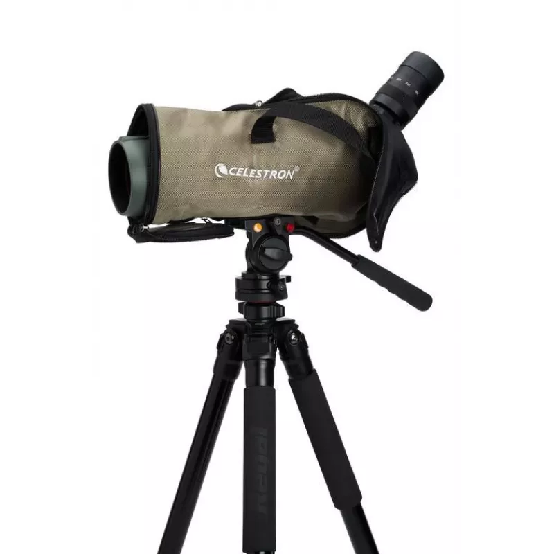 Celestron Regal M2 65ED stebėjimo taikiklis 48x BaK-4 Juoda, Žalia