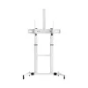 Sbox FS-3610 Floor Ultra-Large LED TV stovas 60-100 100kg Balta