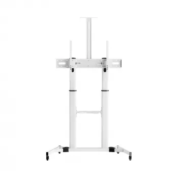 Sbox FS-3610 Floor Ultra-Large LED TV stovas 60-100 100kg Balta