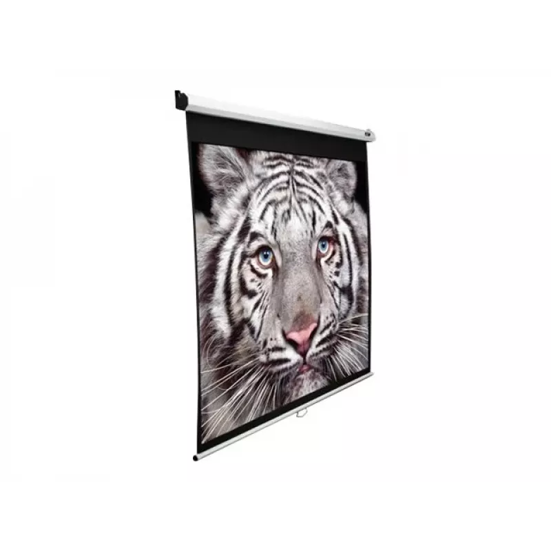 Projekcinis ekranas Elite Screens M150XWH2 3.81 m 16:9